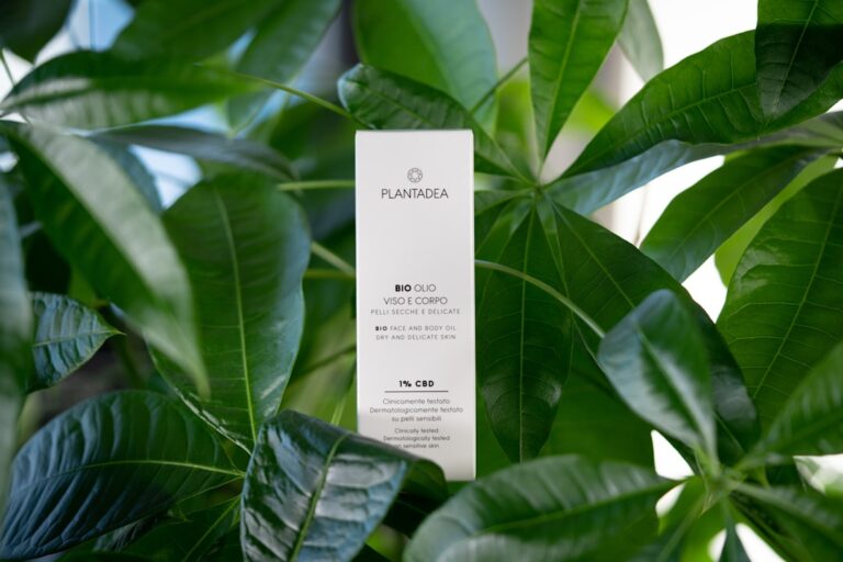 Why Natural Ingredients Matter in Your Cosmetic Choices